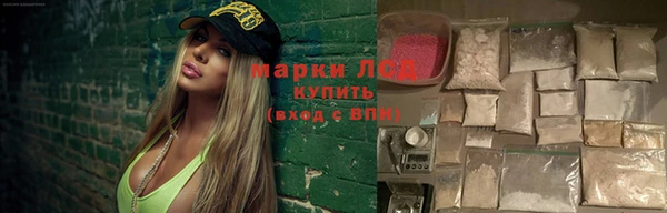 стаф Алексин