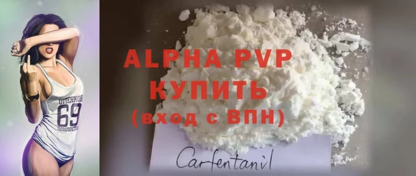 стаф Алексин