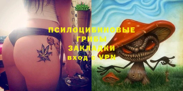 стаф Алексин